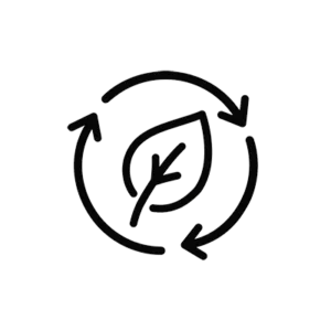 Sustainable cleaning practices Icon